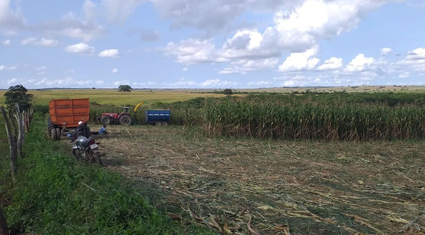 #PraCegoVer Visão panorâmica de plantação de milho.A esquerda parte de uma cerca. Ao centro parte o terreno limpo já sem plantação Encostada nela um moto. Ao fundo um trator e a direita a plantação de milharal