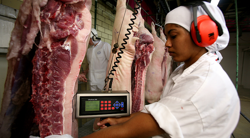 #PraCegoVer A foto mostra o interior de uma indústria de alimentos, do lado esquerdo, carne vermelha pendurada, do lado esquerdo, uma funcionária uniformizada.