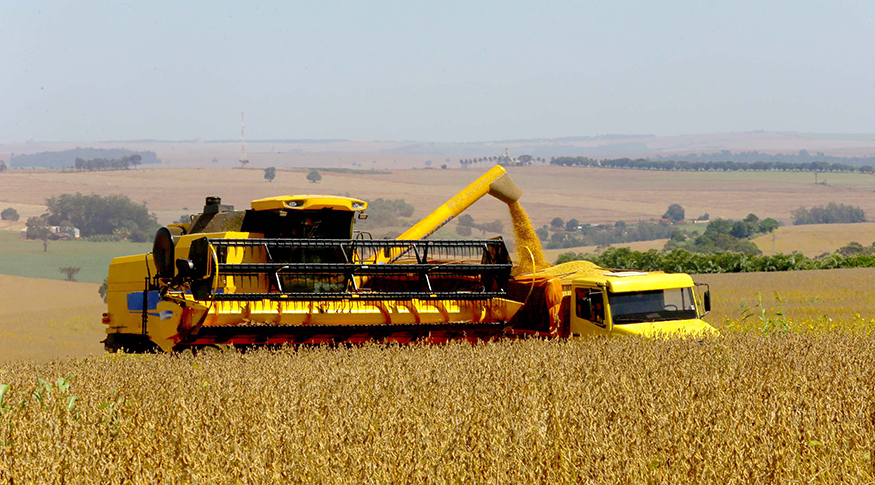 #PraCegoVer Vista de um campo de produção de soja