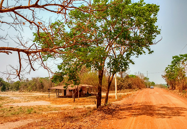 #praCegoVer Setor rural da POF em Cuiabá, no Mato Grosso